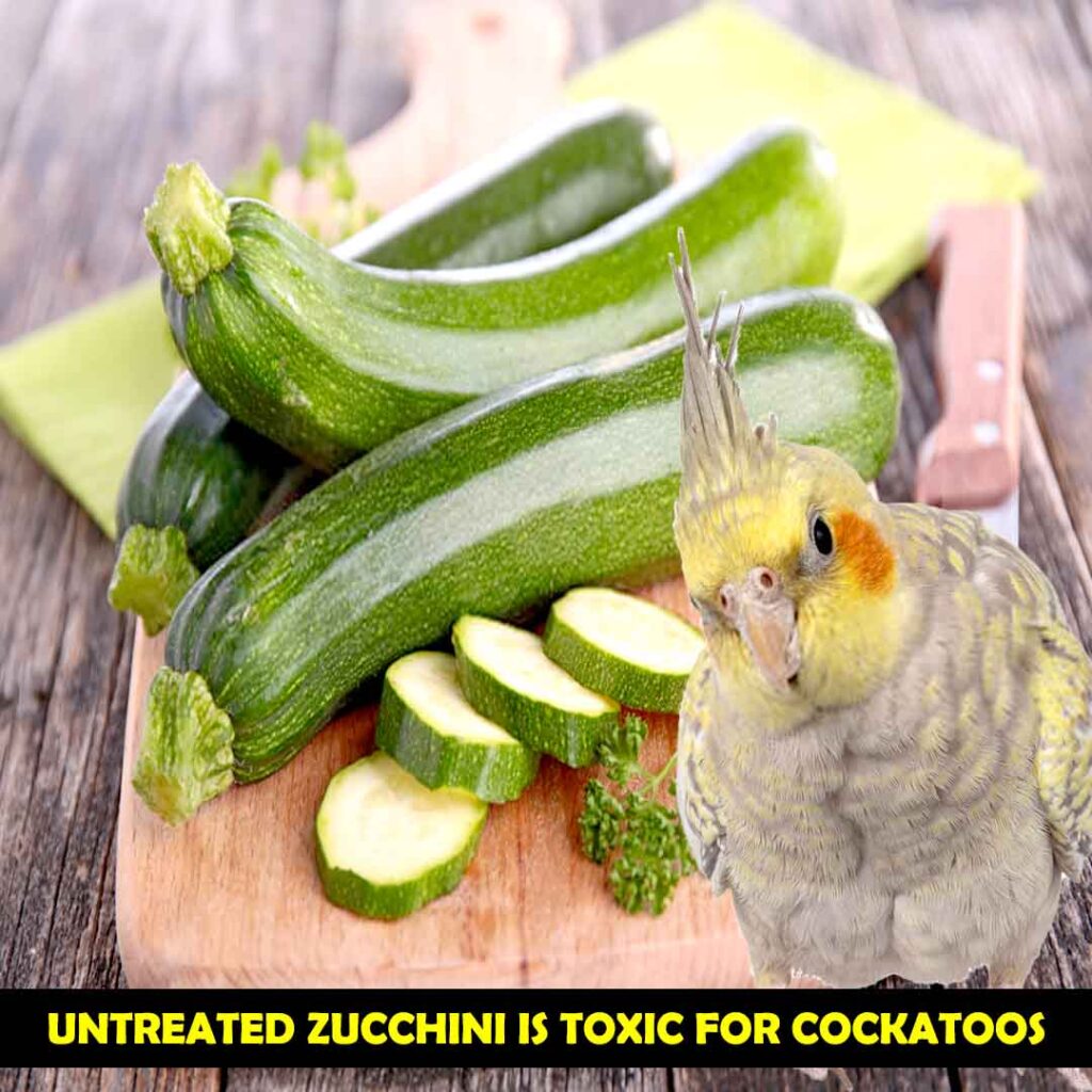 Cucurbitacins in Zucchini is Toxic for Cockatoos