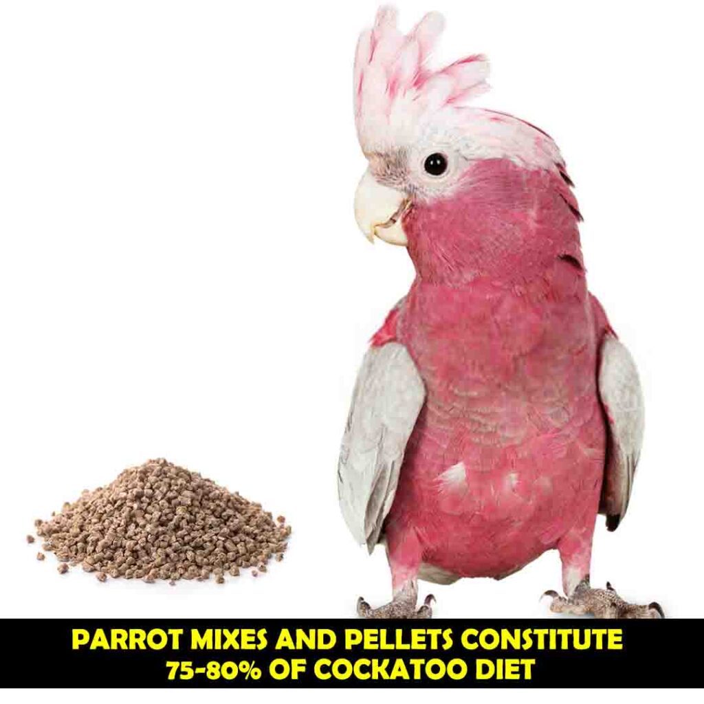 Parrot Mixes and Pellets In Cockatoos diet